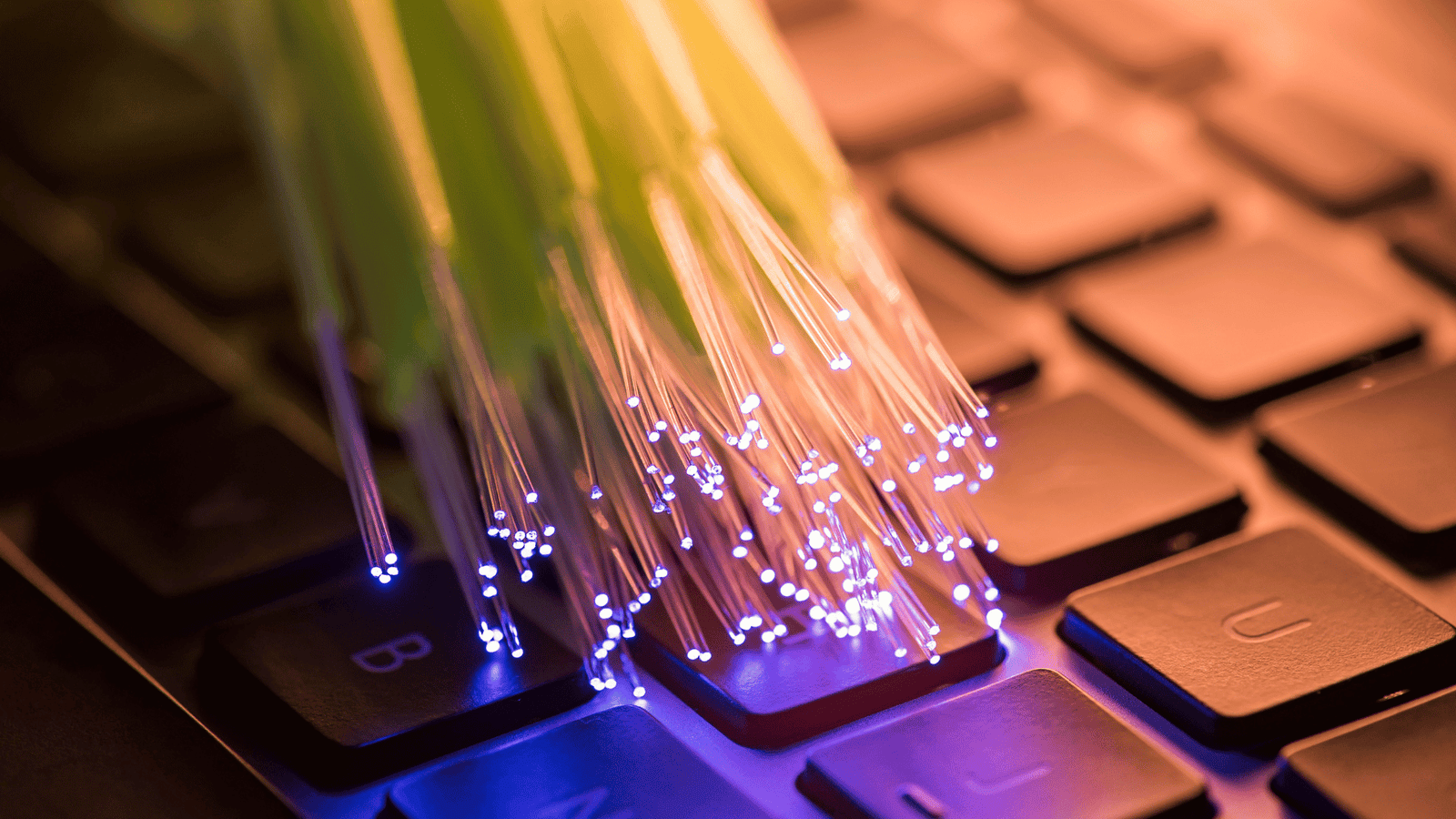 Fibre infrastructure